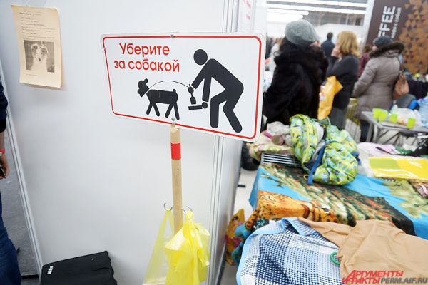 Отдельные стенды посвящены бездомным собакам. 