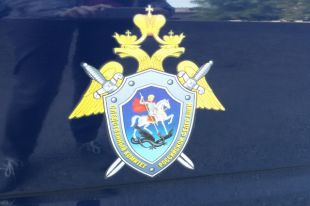 В СУ СКР ход уголовного расследования не комментируют.