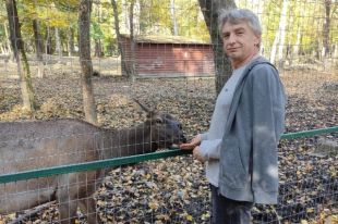 Олени Всегда рады угощению.