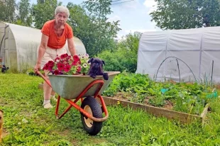 К выбору посадочного материала надо подходить ответственно, чтобы потом не кусать локти