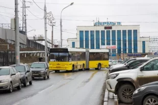 В этом году по Перми снова поедут автобусы-гармошки.